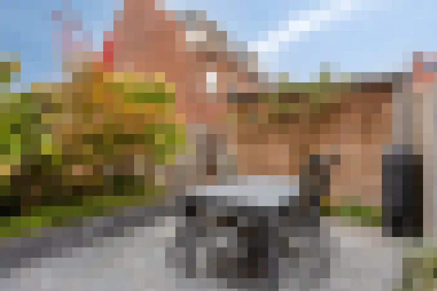 Adelheidstraat 18 's-Hertogenbosch thumbnail 13
