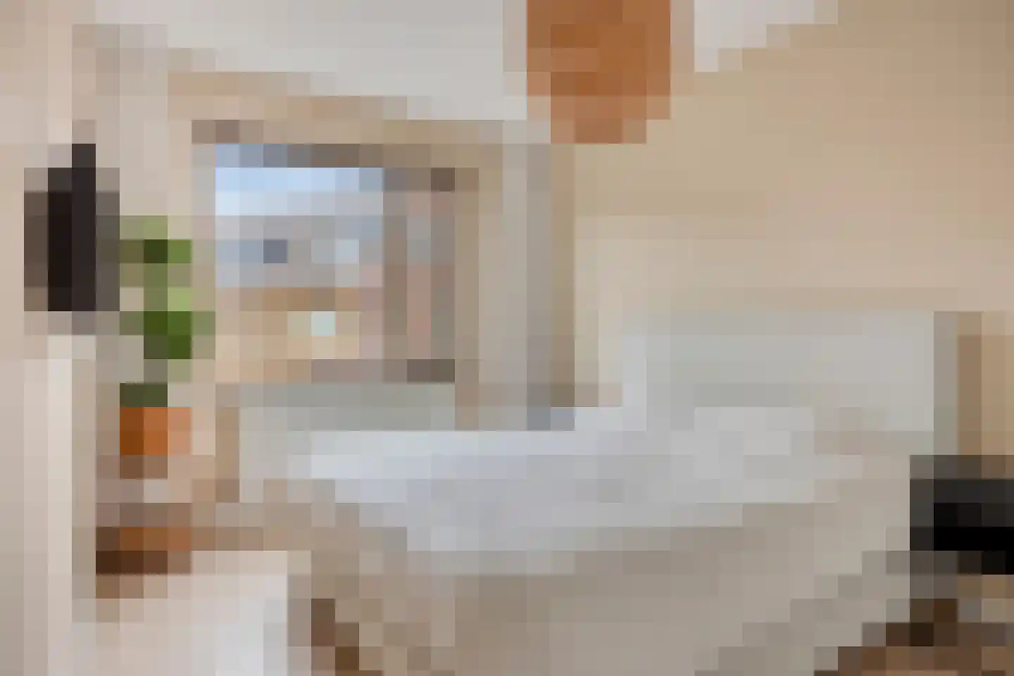 Adelheidstraat 38 's-Hertogenbosch thumbnail 14