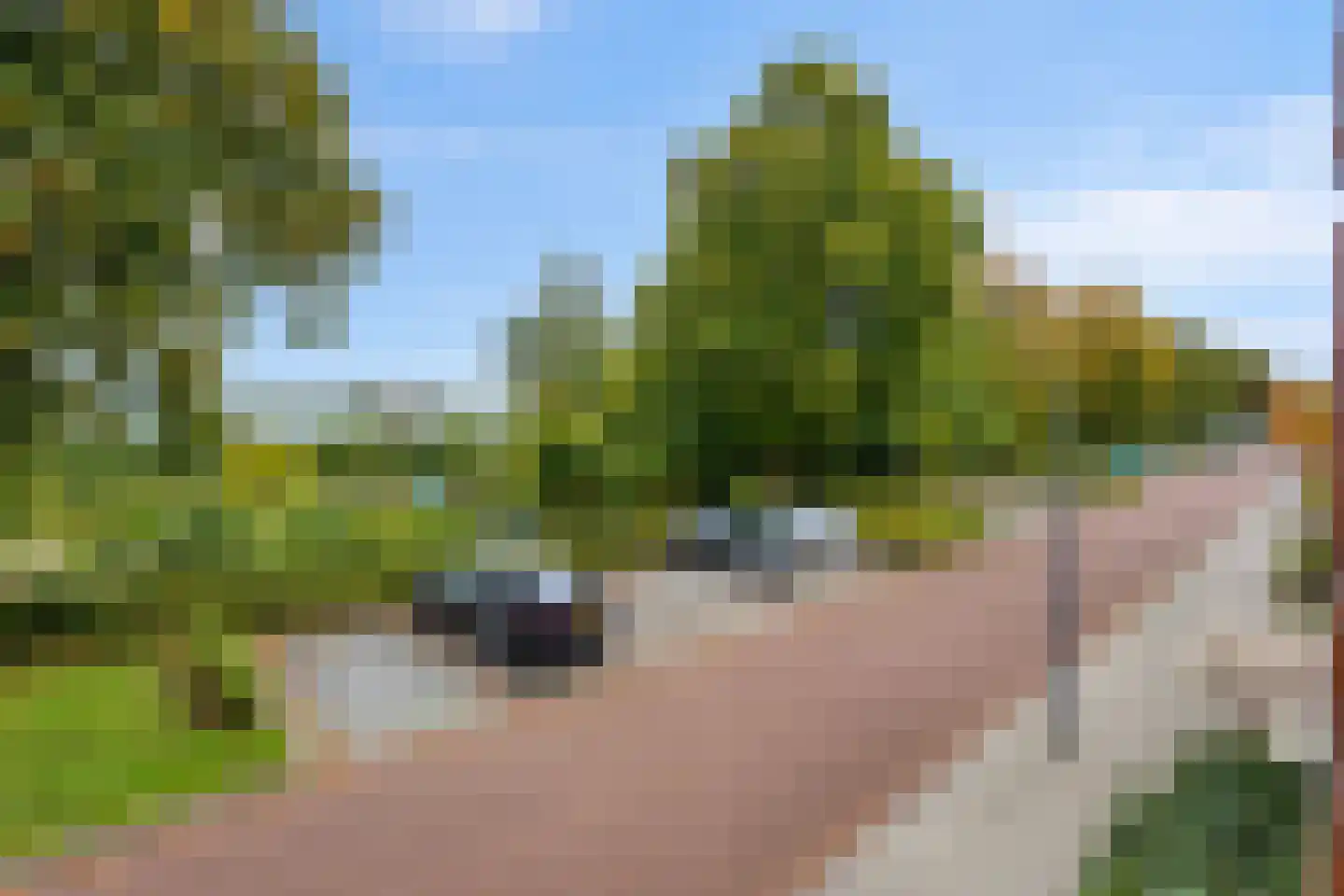 Adelheidstraat 38 's-Hertogenbosch thumbnail 18