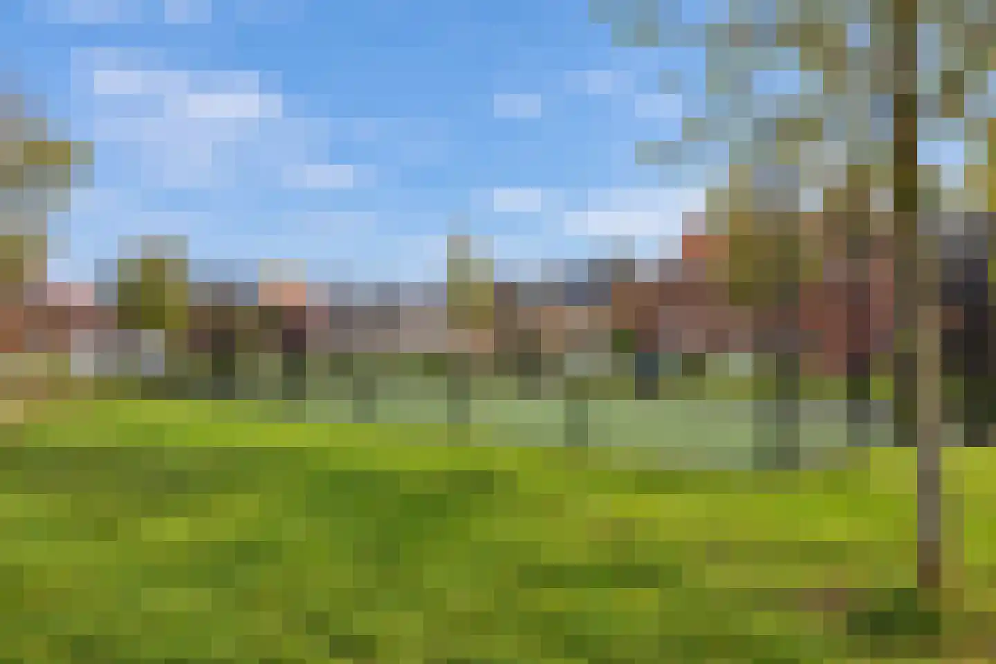 Adelheidstraat 38 's-Hertogenbosch thumbnail 26