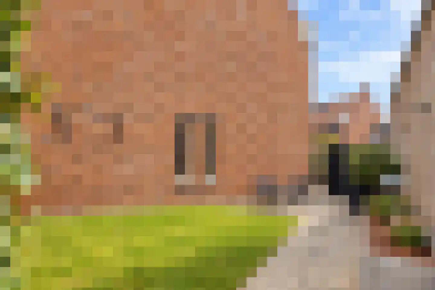 Adelheidstraat 38 's-Hertogenbosch thumbnail 8
