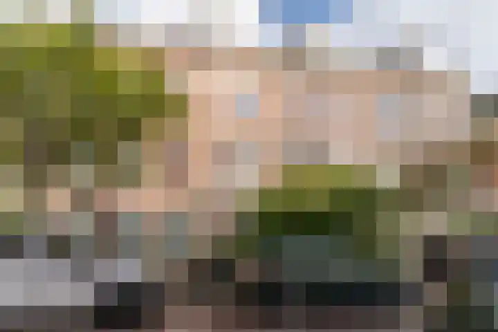 Adelheidstraat 40 A in Den Haag