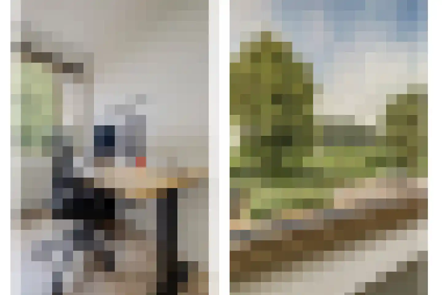 Adelheidstraat 46 's-Hertogenbosch thumbnail 19