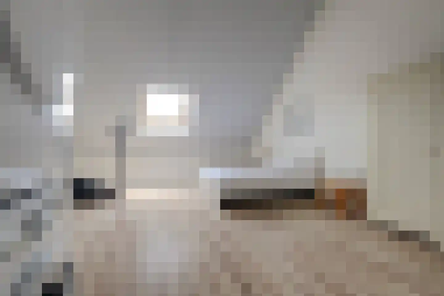 Adelheidstraat 46 's-Hertogenbosch thumbnail 26