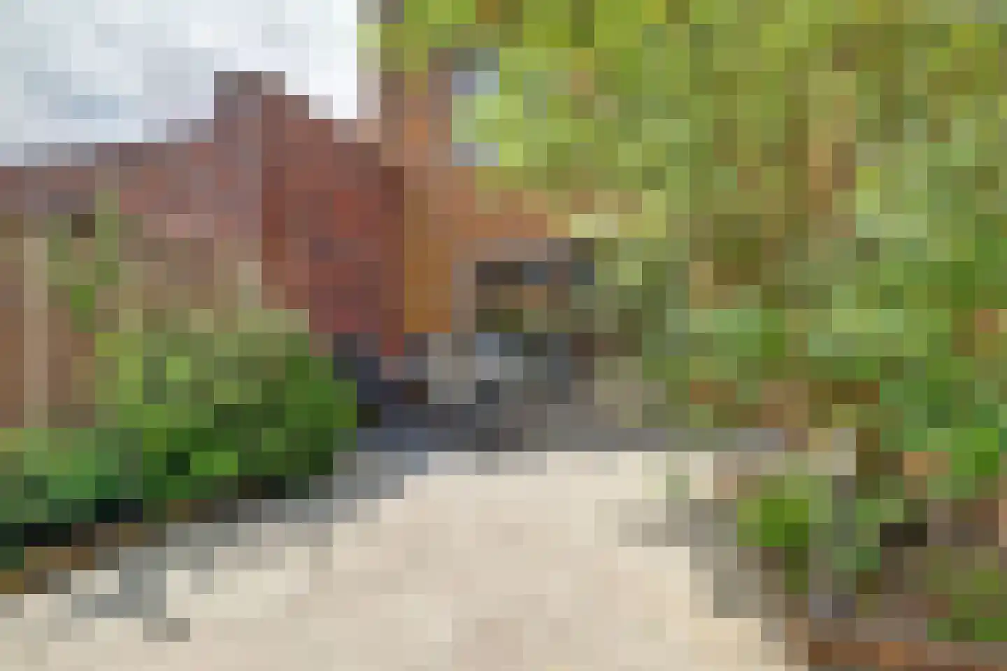 Adelheidstraat 46 's-Hertogenbosch thumbnail 29