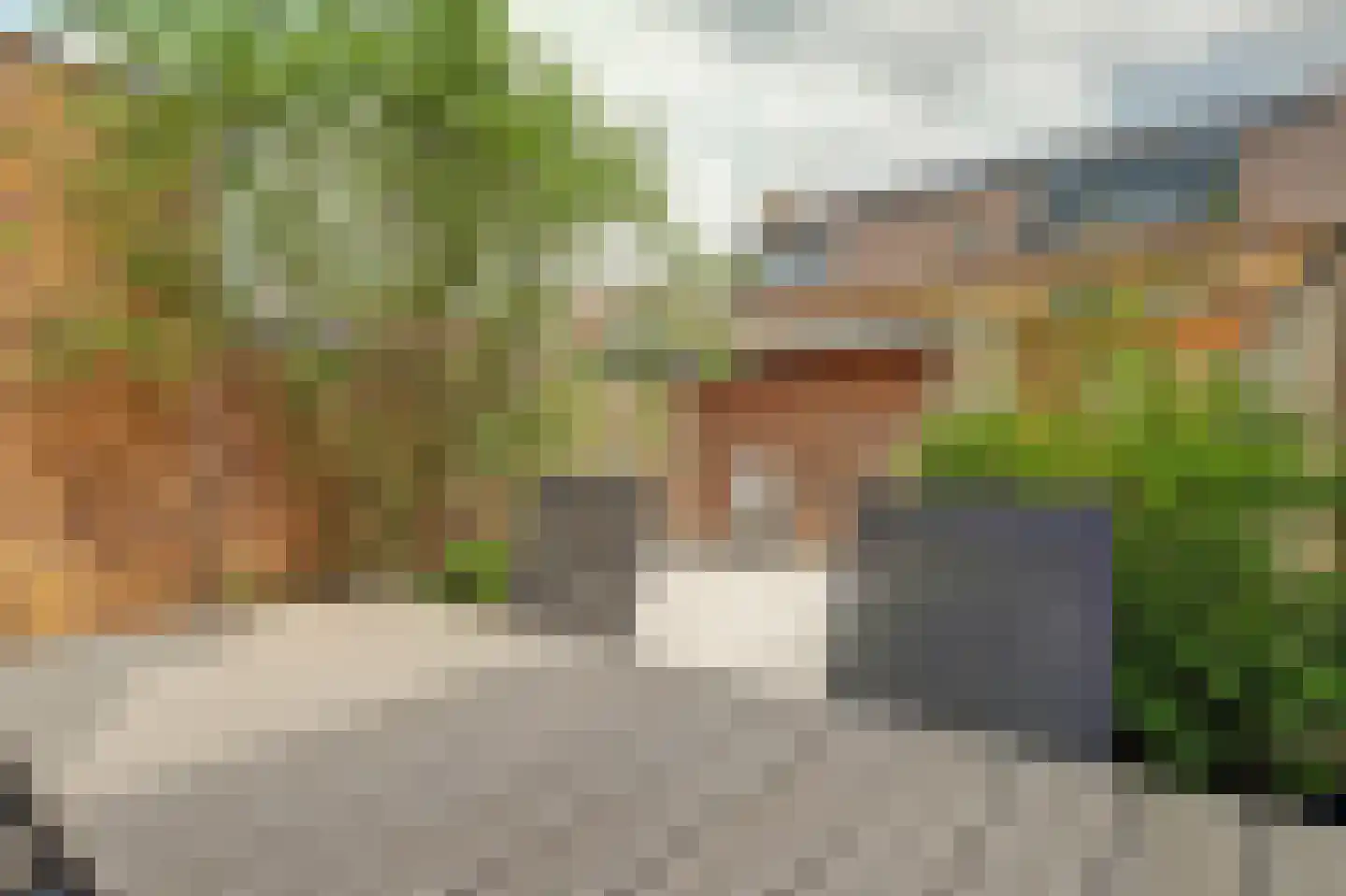 Adelheidstraat 46 's-Hertogenbosch thumbnail 30