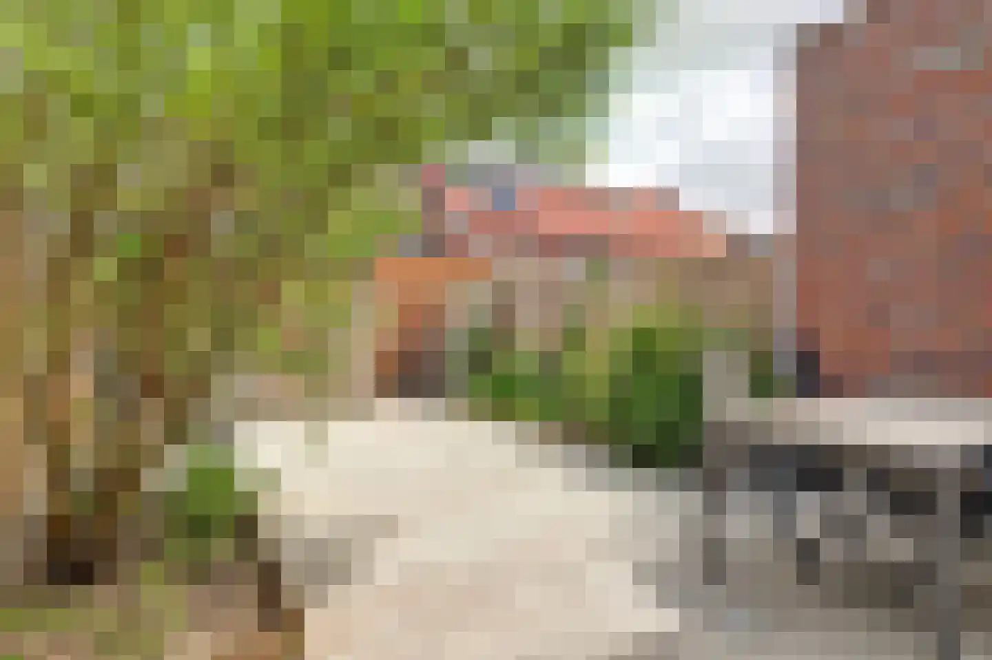 Adelheidstraat 46 's-Hertogenbosch thumbnail 31