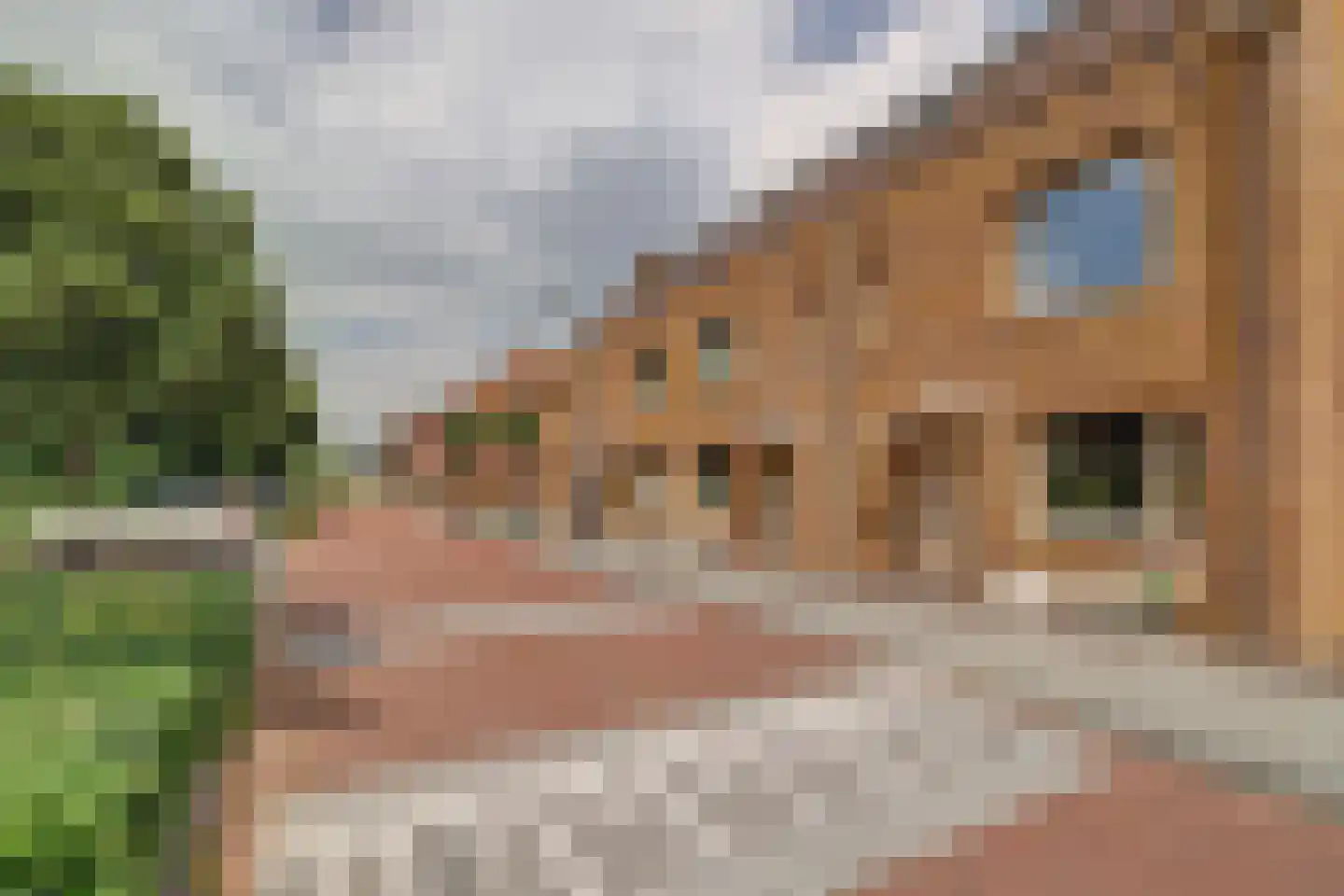 Adelheidstraat 46 's-Hertogenbosch thumbnail 34