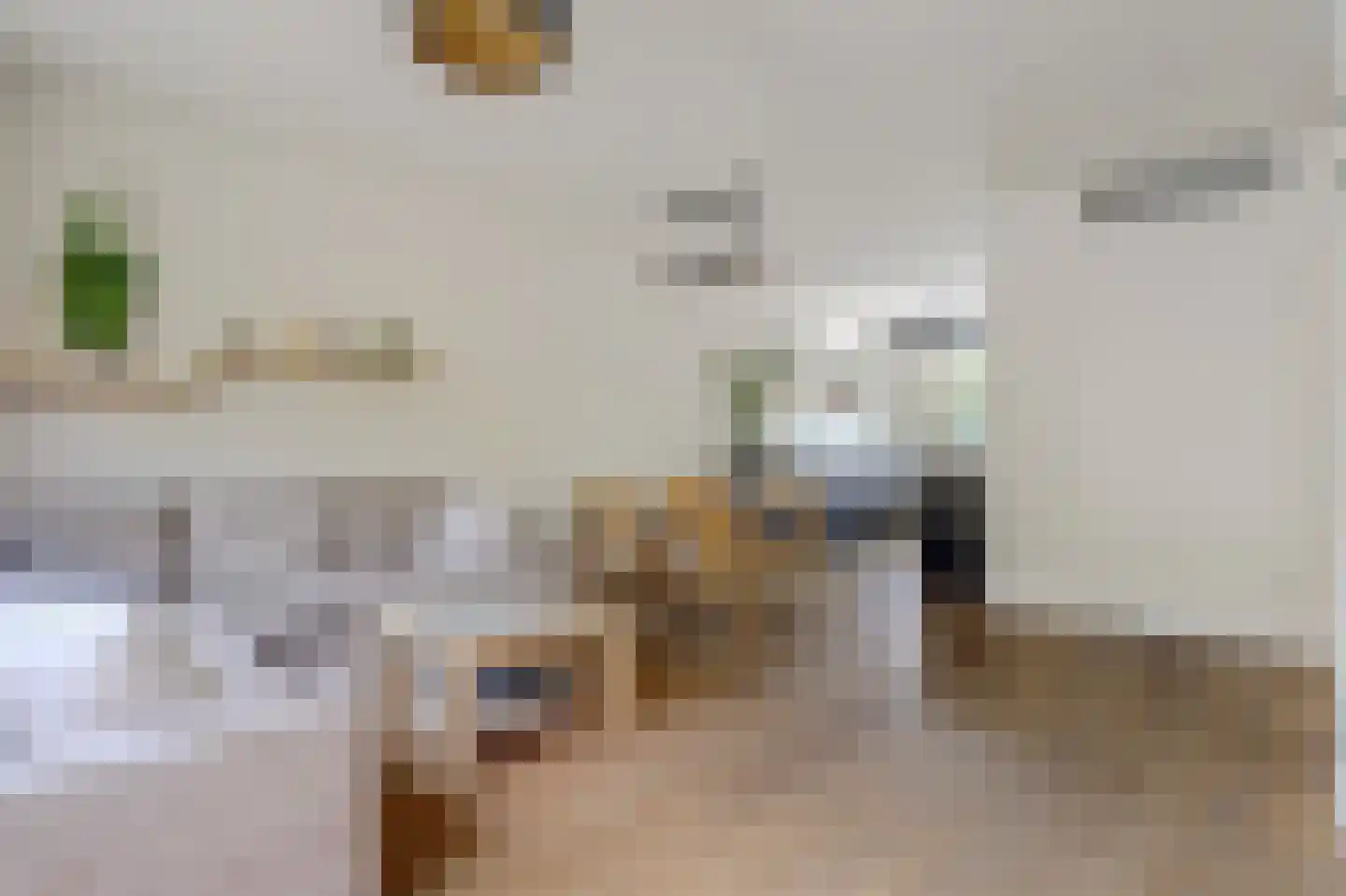 Adelheidstraat 46 's-Hertogenbosch thumbnail 7