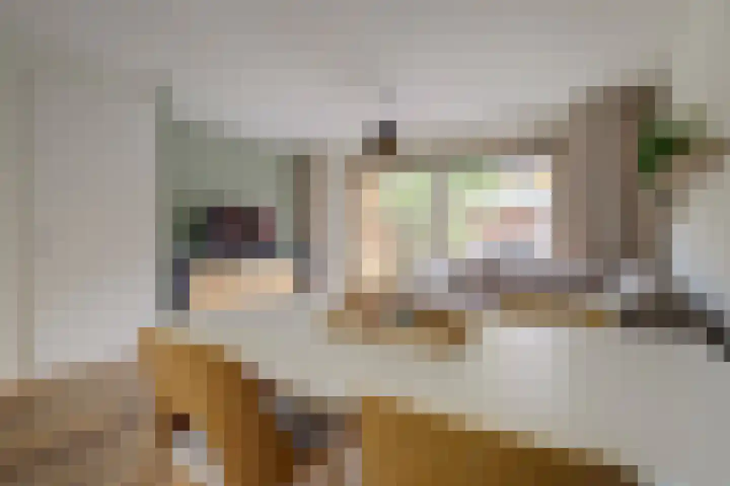Adelheidstraat 46 's-Hertogenbosch thumbnail 8