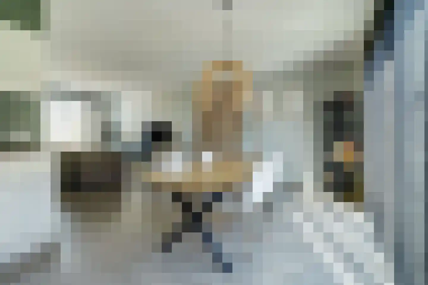 Adelheidstraat 53 's-Hertogenbosch thumbnail 12