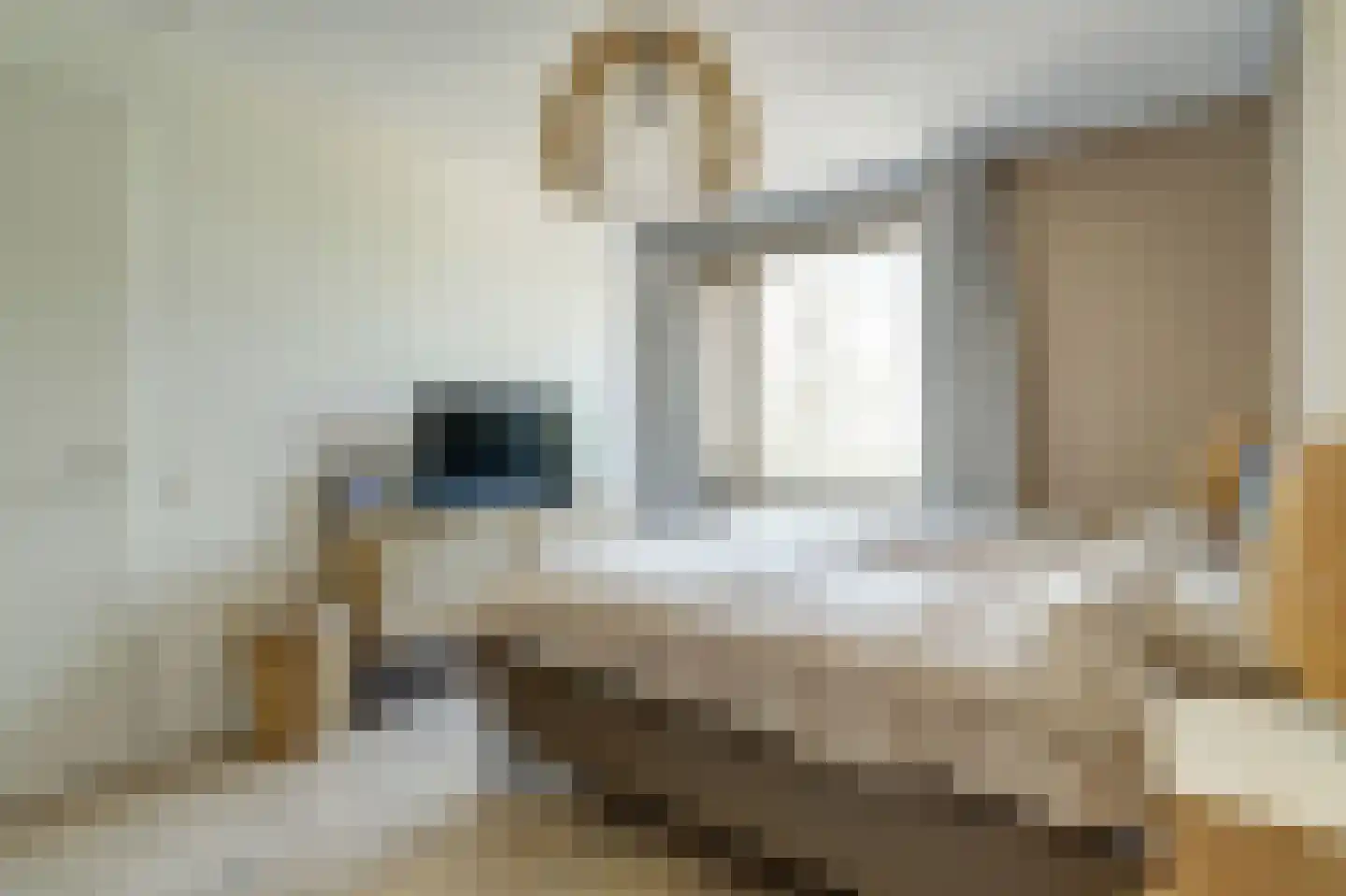 Adelheidstraat 53 's-Hertogenbosch thumbnail 18