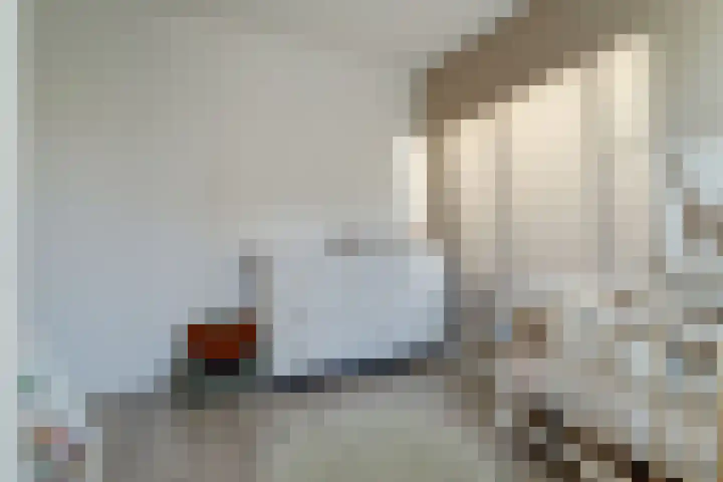 Adelheidstraat 53 's-Hertogenbosch thumbnail 23