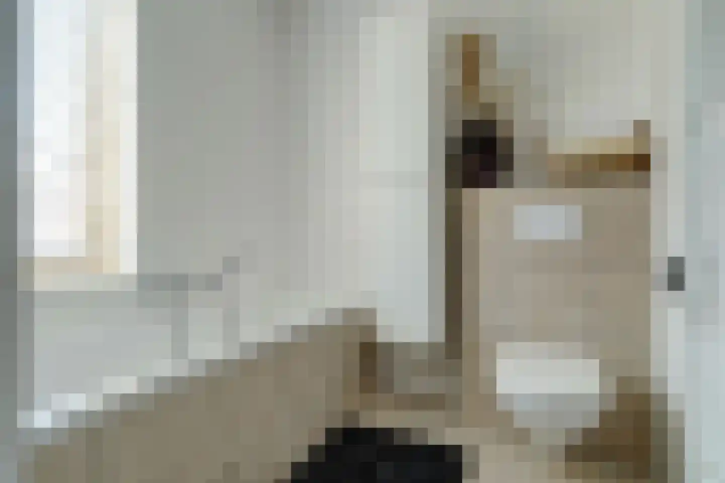 Adelheidstraat 53 's-Hertogenbosch thumbnail 26