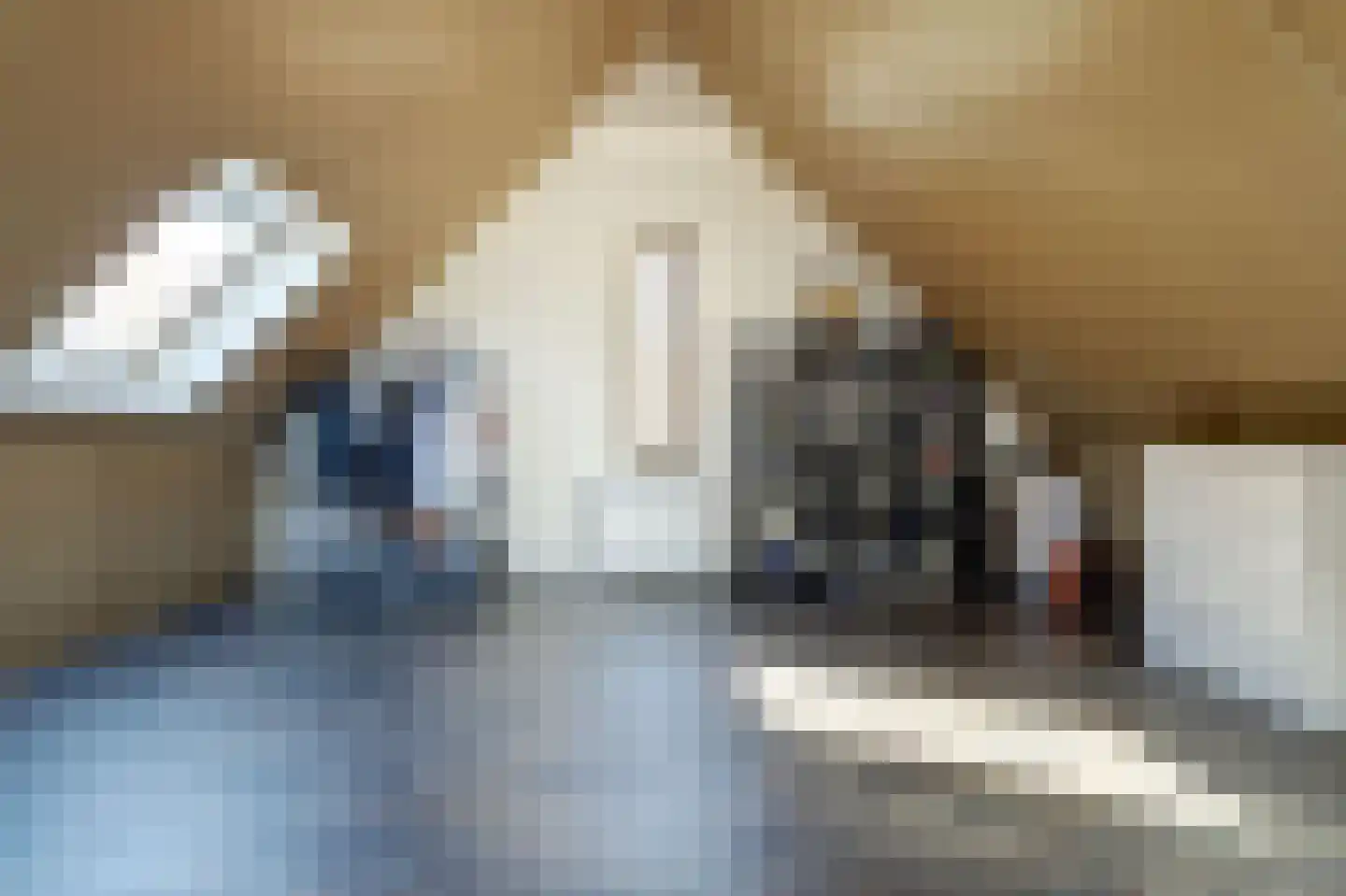 Adelheidstraat 53 's-Hertogenbosch thumbnail 29