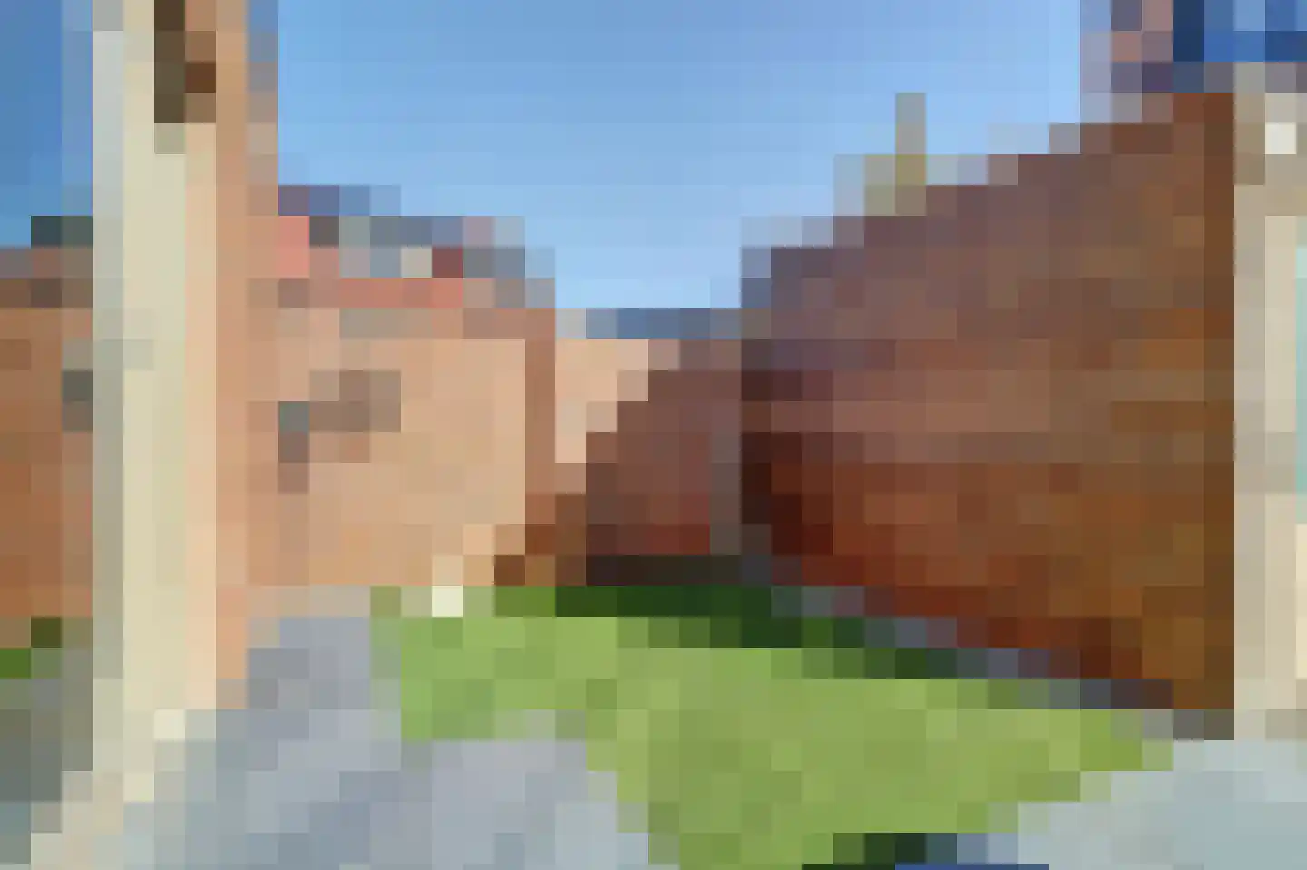 Adelheidstraat 53 's-Hertogenbosch thumbnail 31