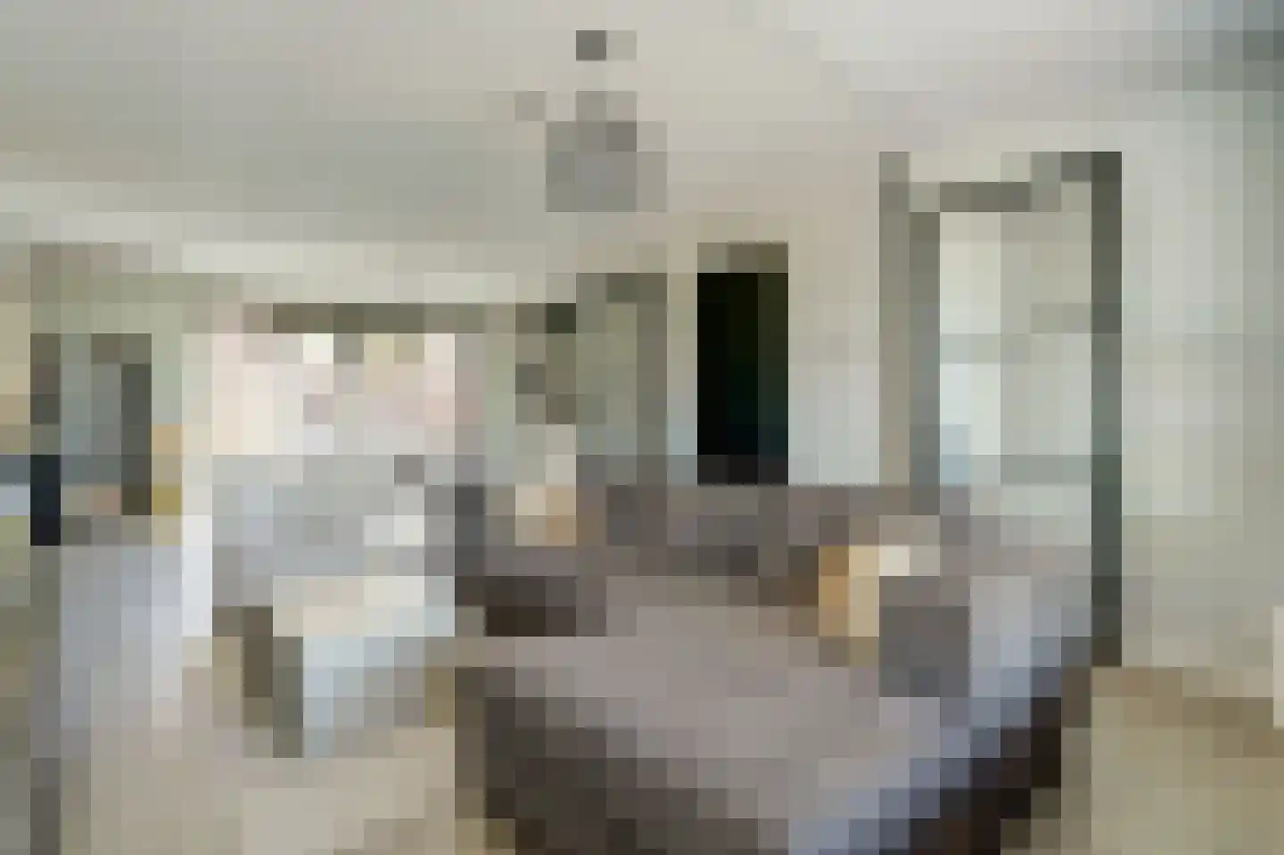 Adelheidstraat 53 's-Hertogenbosch thumbnail 7
