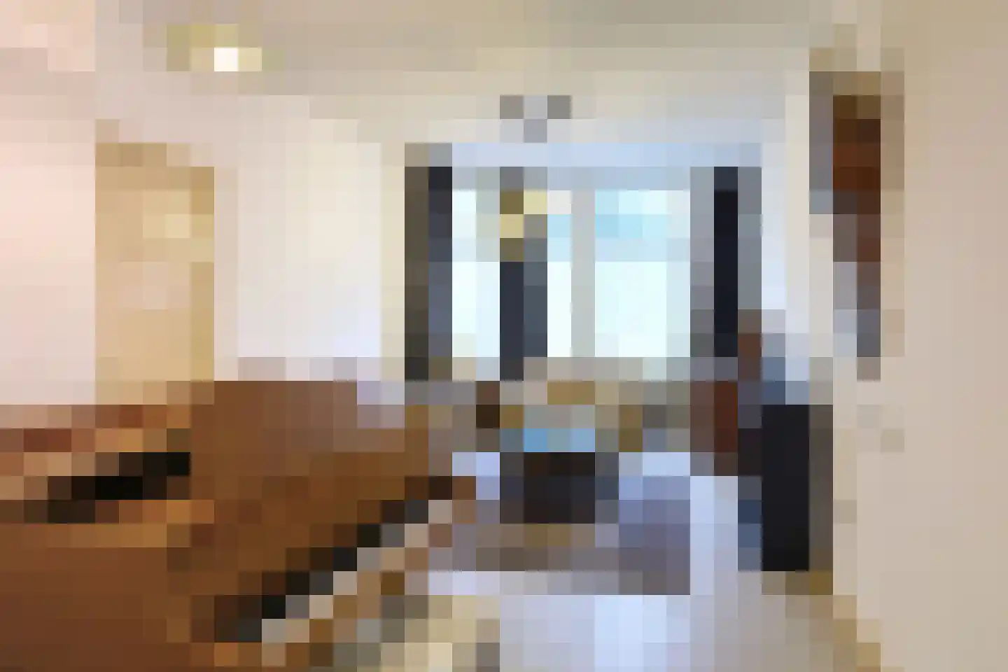Adelheidstraat 62 Den Haag thumbnail 11