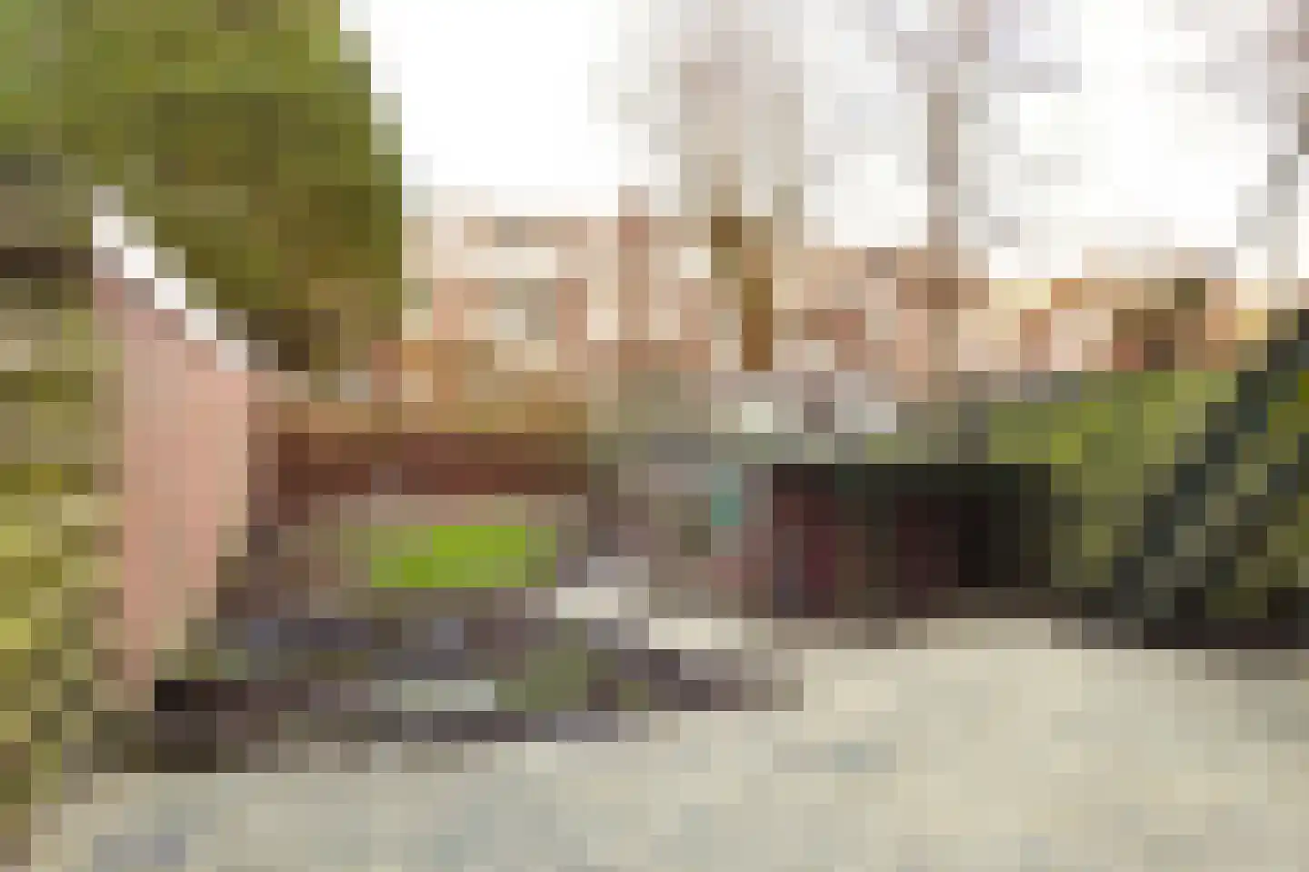Adelheidstraat 62 Den Haag thumbnail 15