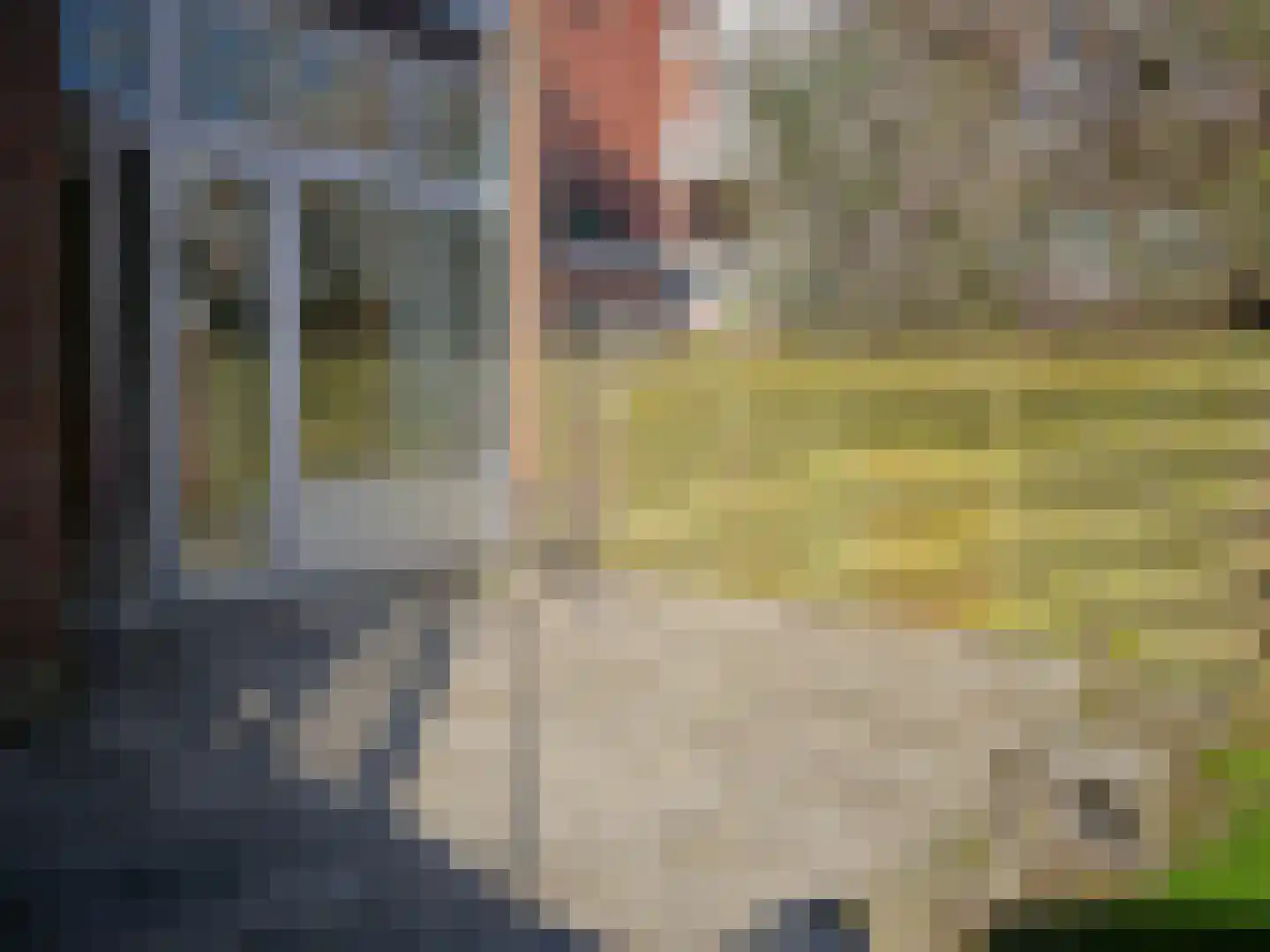 Adelheidstraat 62 Den Haag thumbnail 16