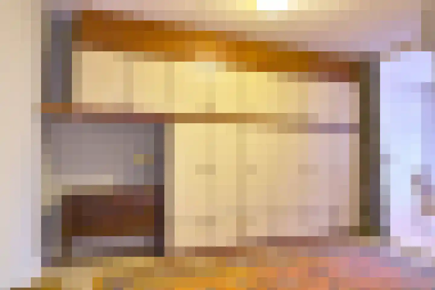 Adelheidstraat 62 Den Haag thumbnail 33