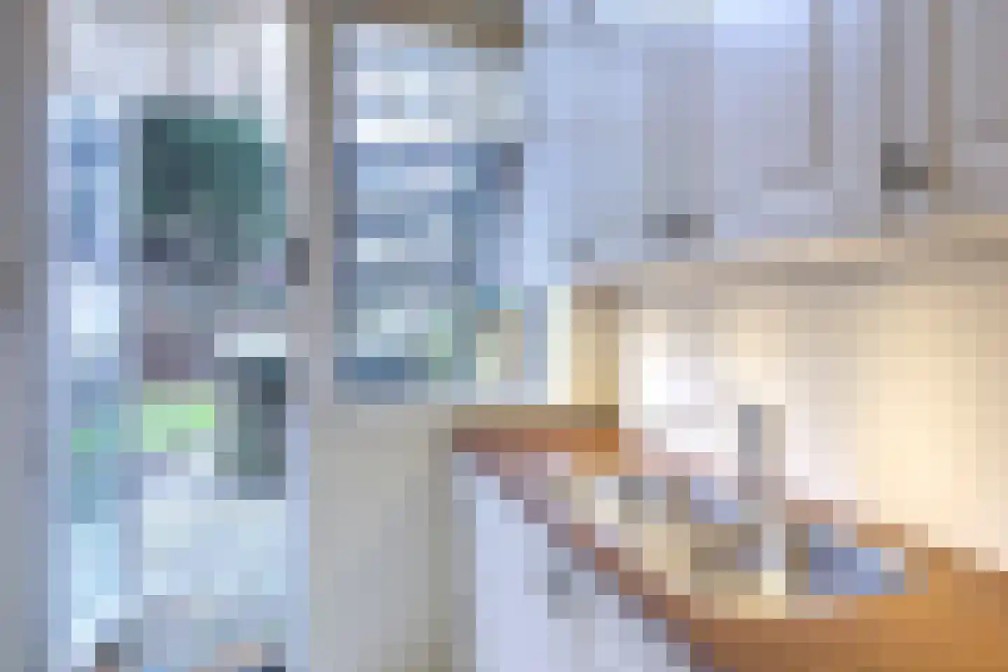 Adelheidstraat 62 Den Haag thumbnail 6