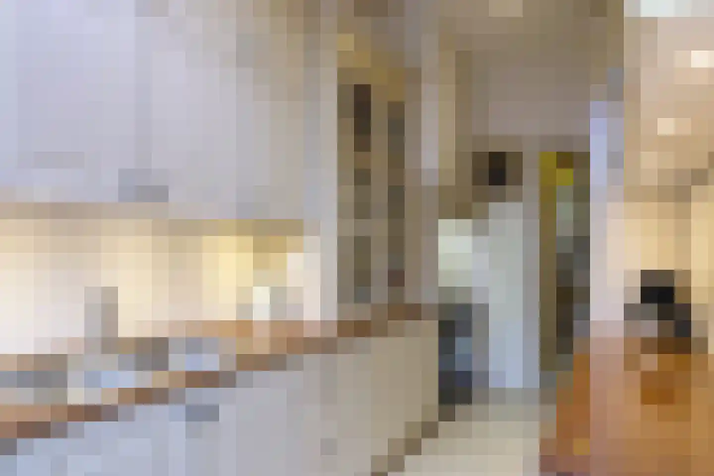 Adelheidstraat 62 Den Haag thumbnail 7