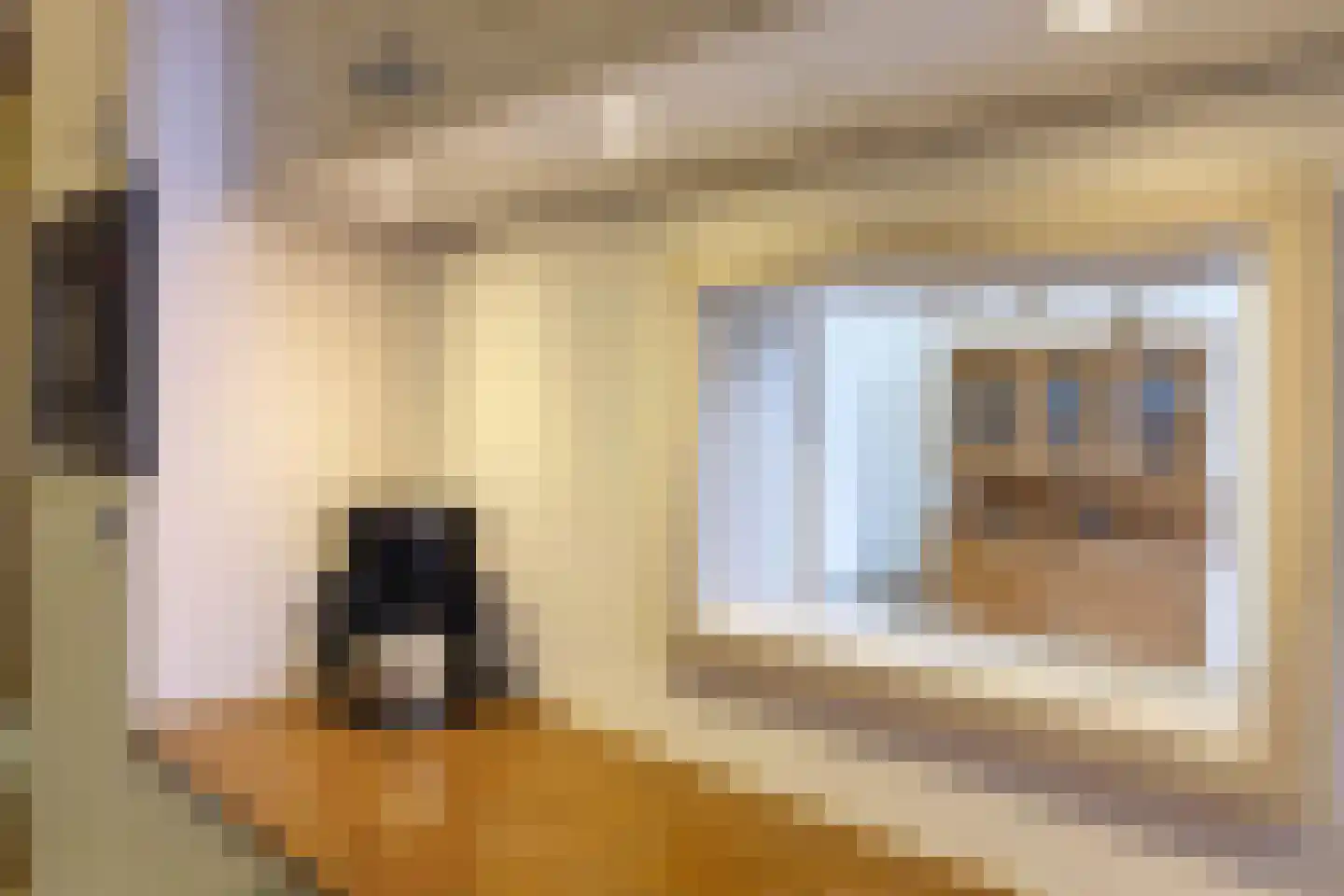 Adelheidstraat 62 Den Haag thumbnail 8