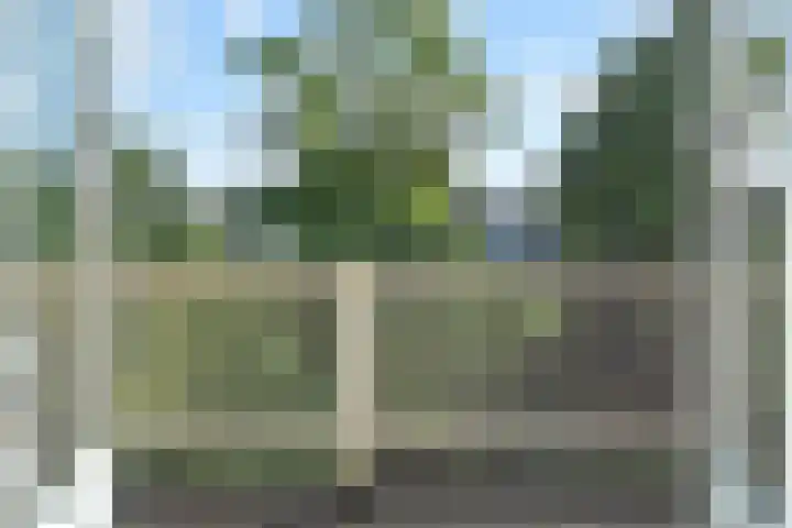 Adelheidstraat 82 Den Haag thumbnail 64