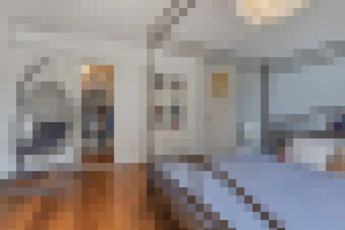 Adelheidstraat 84 Den Haag thumbnail 44