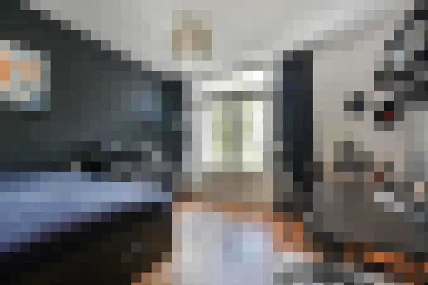 Adelheidstraat 84 Den Haag thumbnail 45