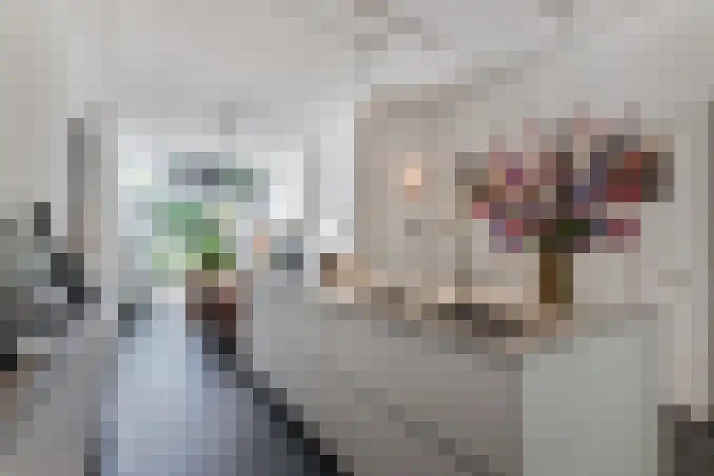 Adelheidstraat 84 Den Haag thumbnail 8