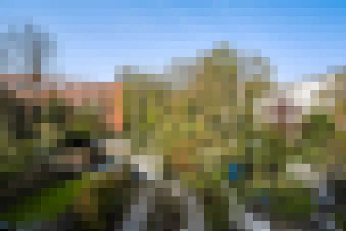 Adelheidstraat 9 A Den Haag thumbnail 14