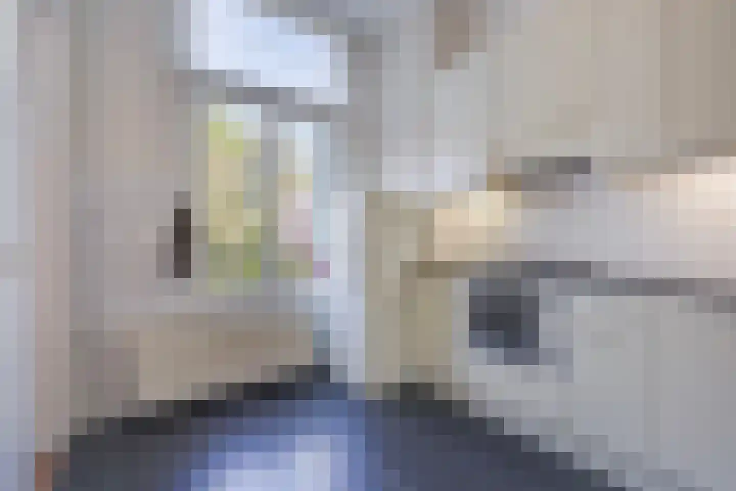 Adelheidstraat 9 A Den Haag thumbnail 4