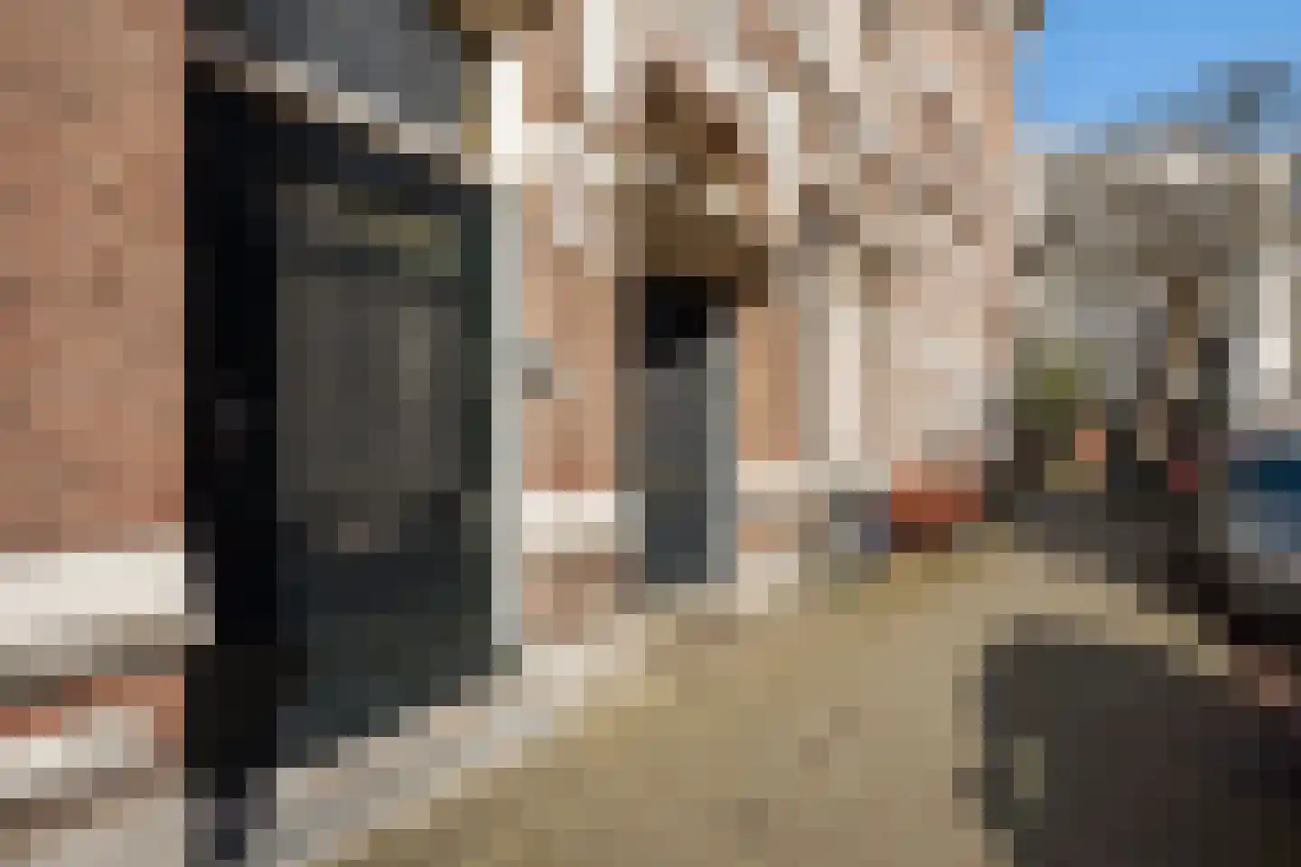 Adelheidstraat 9 A Den Haag thumbnail 6