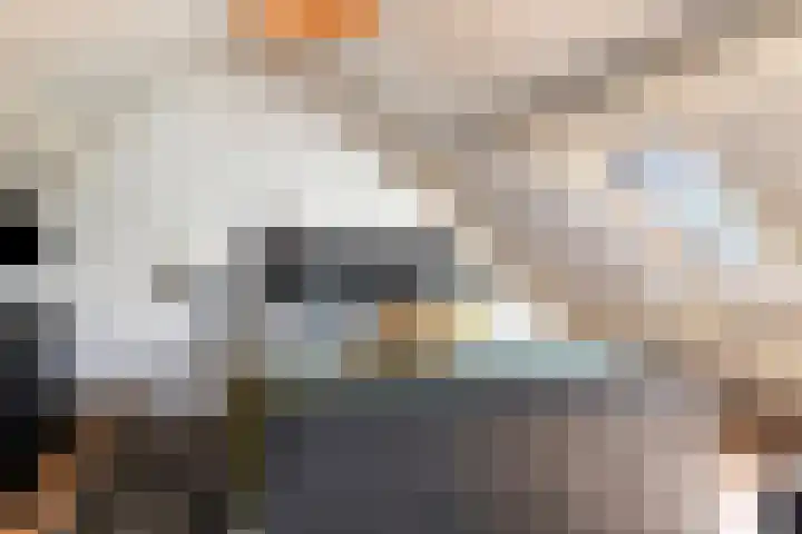 Adelstraat 12 A Made thumbnail 26