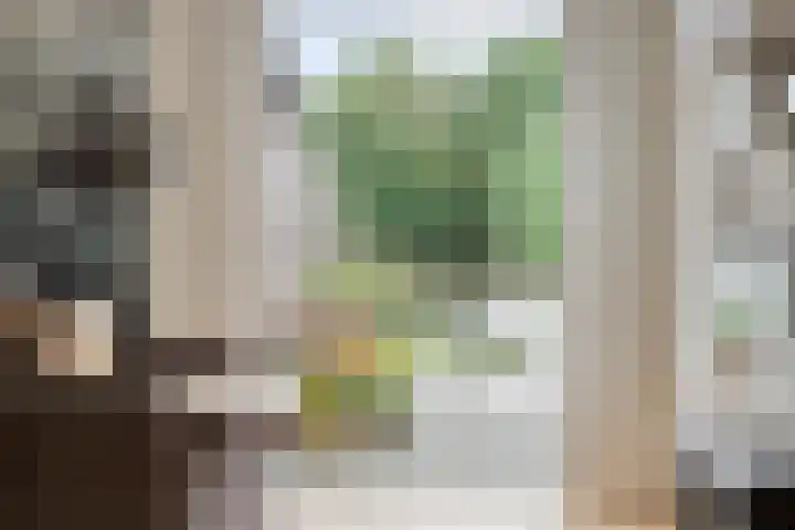 Adelstraat 25 Made thumbnail 13