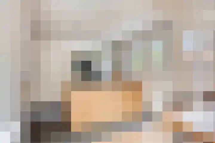 Adelstraat 25 Made thumbnail 14