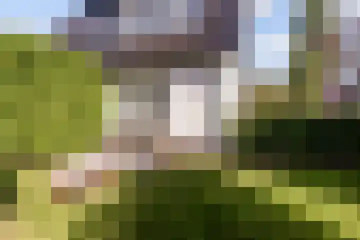 Adelstraat 25 Made thumbnail 18
