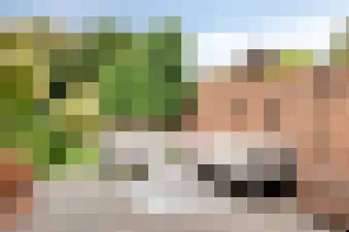 Adelstraat 25 Made thumbnail 36