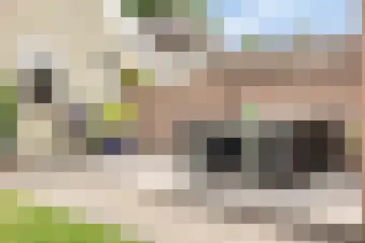 Adelstraat 25 Made thumbnail 39