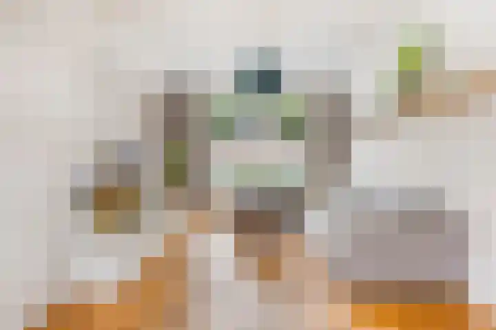Adelstraat 25 Made thumbnail 6