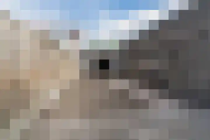 Adelstraat 45 A Made foto 2