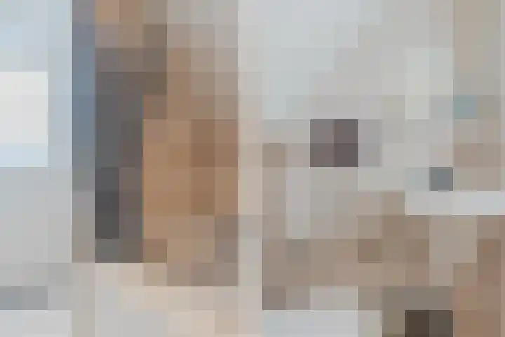 Adelstraat 45 A Made thumbnail 22