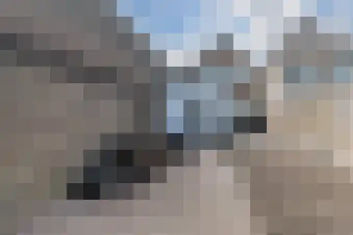 Adelstraat 45 A Made thumbnail 28