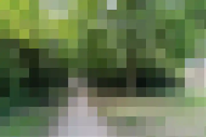 Adelstraat 45 A Made thumbnail 36