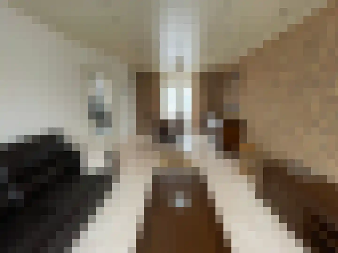 Adelstraat 61 Made thumbnail 9