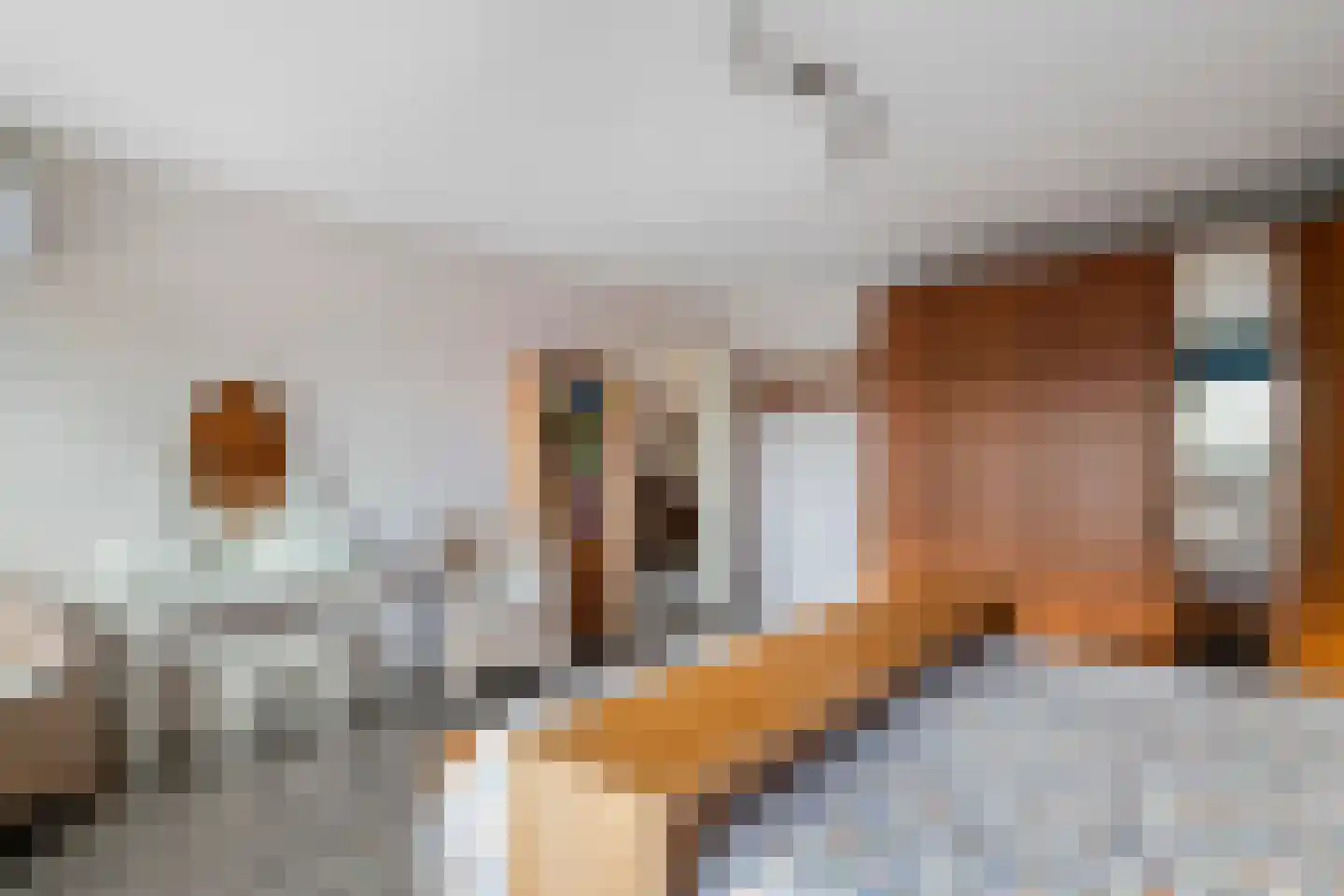Adelsweg 14 Lienden thumbnail 34