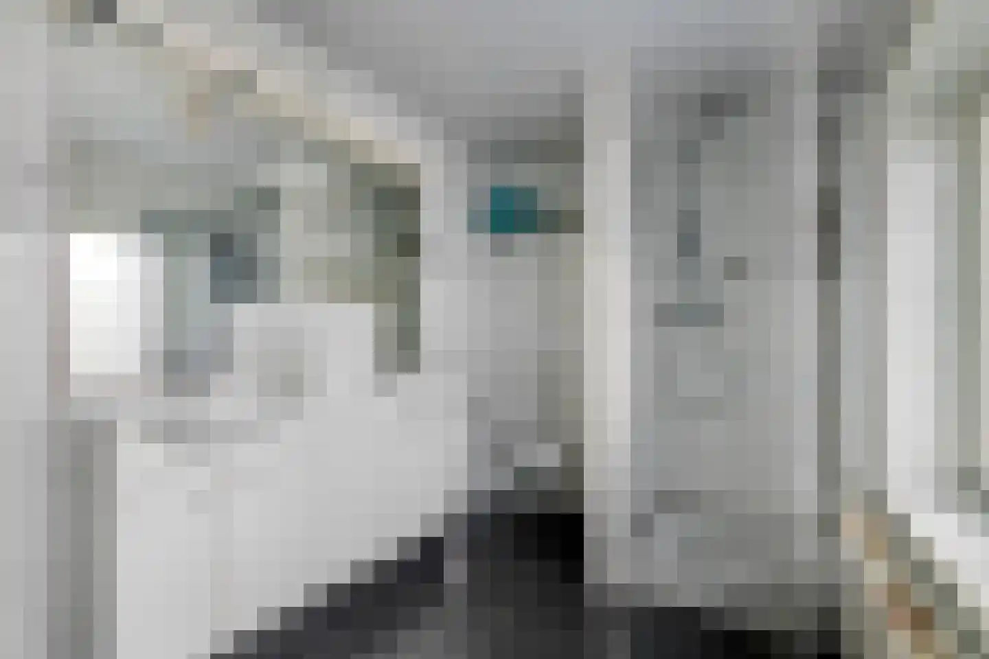 Adelsweg 14 Lienden thumbnail 40