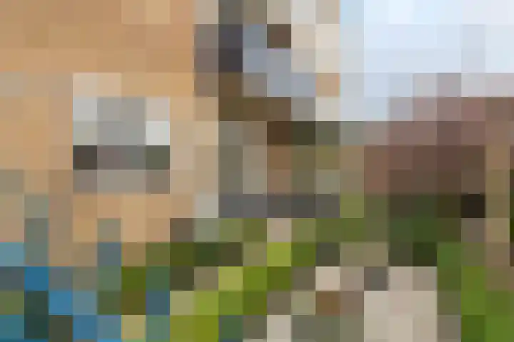 Adelsweg 14 Lienden thumbnail 6